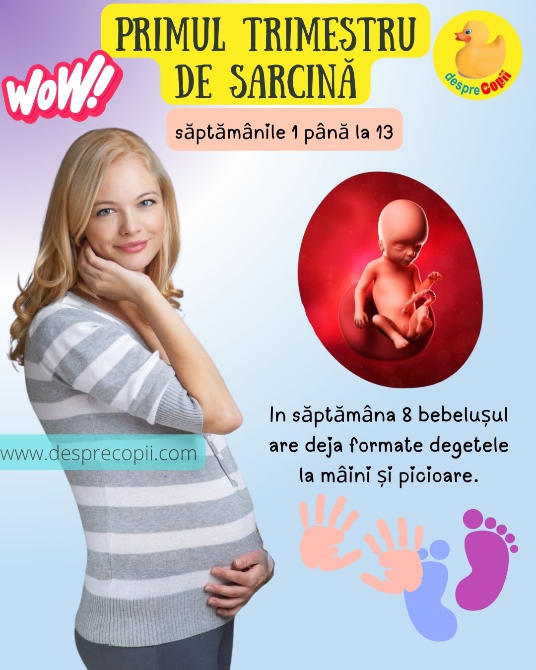 saptamana 8 de sarcina